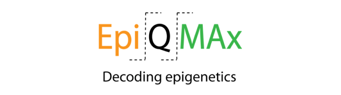 Operational and Attractive Web-based Data Visualization Solution for EpiQMAx